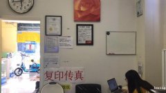 专精庇护翻译