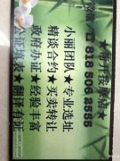 专精庇护翻译