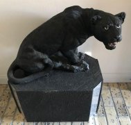 高级装饰品：紫砂黑豹 $120； 黑豹雕塑 $350；
