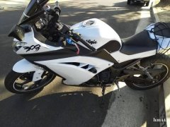 摩托 2013 Kawasaki Ninja 300 ABS