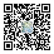 快速结婚登记                      政府