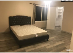 罗兰岗fullerton RD 房间出租。 全新床和床垫,停