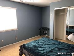 Chino 独立屋 雅房分租