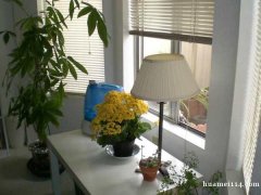 West Covina 温馨 Condo 分租