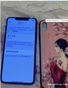 出售无锁版9.9成新Iphone xs Max 256G M