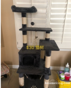 猫咪用品低价转！
