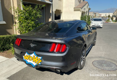 出16年小野马Mustang Ecoboost 2.3L