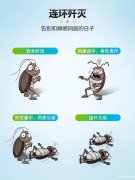 灭蟑螂药