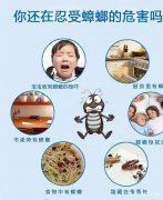 灭蟑螂药