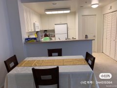 尔湾大学周边主卧出租