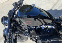 2021 Harley sportster 48. I’m 