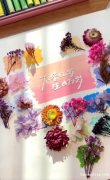 手工艺术画招聘