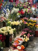 招聘花店花艺师一名