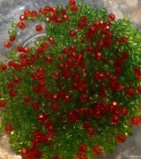 招聘居家手工（可免费送货上门）