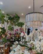 花店招聘