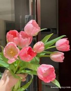 招聘花店店员