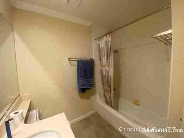 科维那 单间卧室出租…新装修 环境好 交通便利 适合 大小留 科维那 单间卧室出租…新装修 环境好 交通便利 适合 大小留