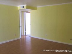 Alhambra 安全小区一室一厅一卫公寓出租 Alhambra 安全小区一室一厅一卫公寓出租