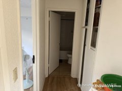 夏威夷超市 velley 大街 临街分租一室