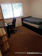 Glendale 雅房分租/合组 境优备全