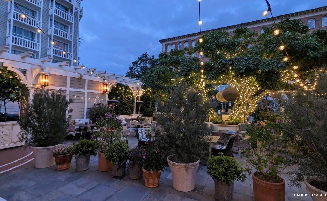 急招(大太平洋证劵)直招 急招(大太平洋证劵)直招