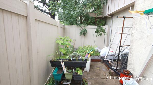 蒙市独卫套间带院子带衣帽间带一个独立小厨房,年租,1500/ 蒙市独卫套间带院子带衣帽间带一个独立小厨房,年租,1500/