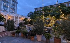 急招(大太平洋证劵)直招 急招(大太平洋证劵)直招