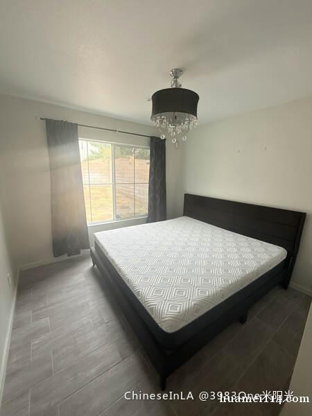 东区独立出入出租 东区独立出入出租