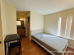 出租尔湾一室一卫公寓