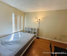 出租尔湾一室一卫公寓