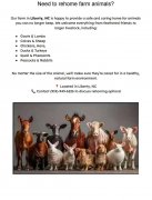 Animal rehome
